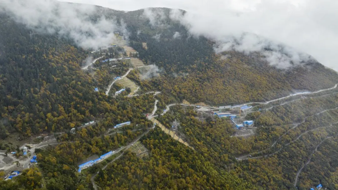 97����-����Ʒ��,Դ������