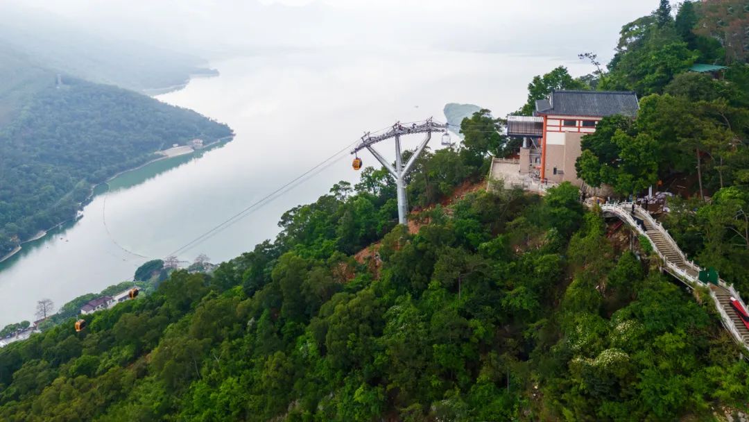 97����-����Ʒ��,Դ������